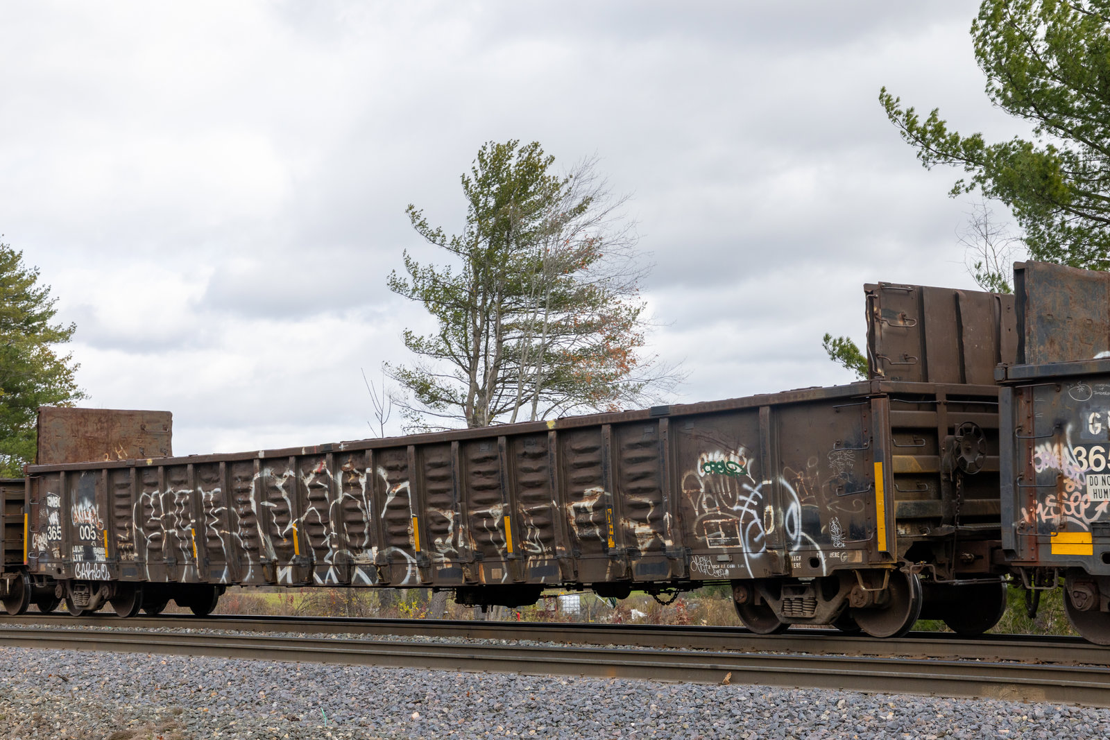GNBC 365005