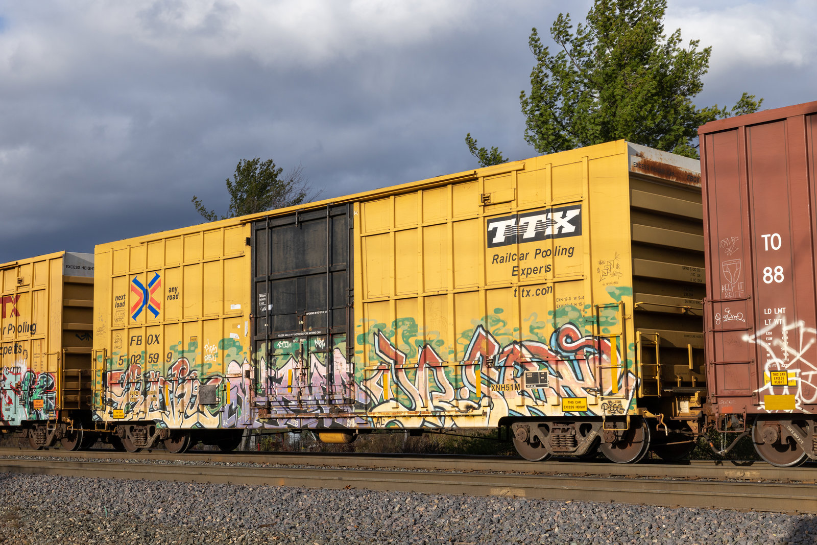 FBOX 502599