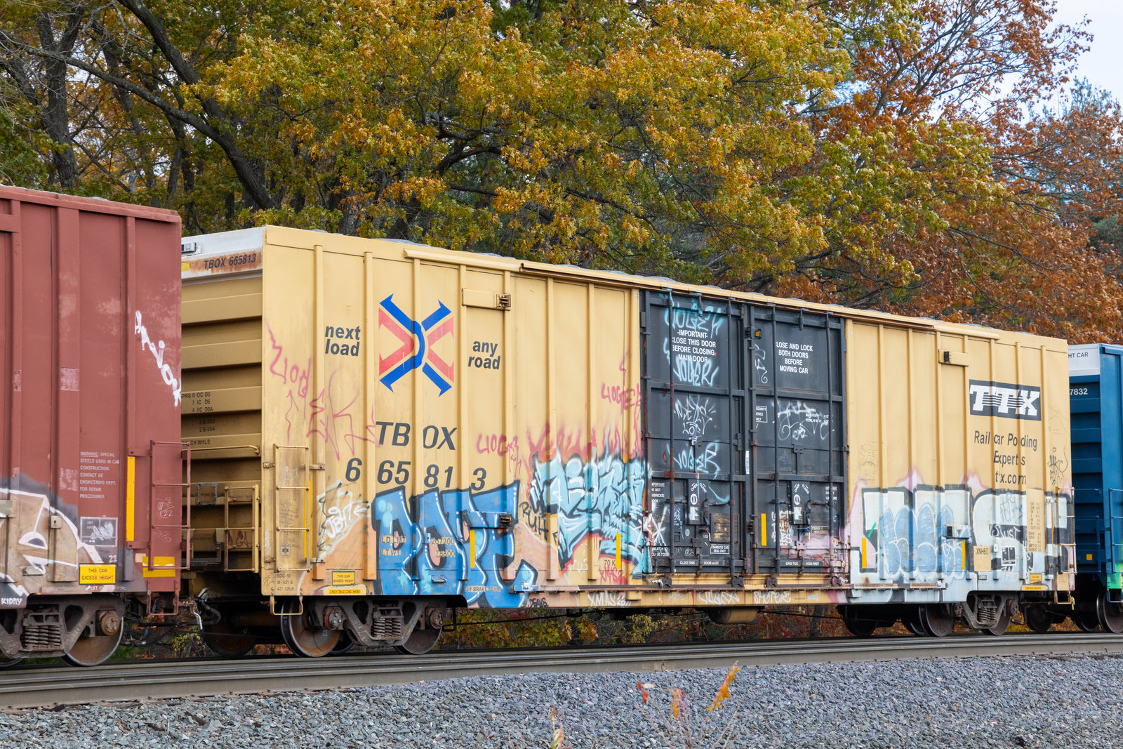 TBOX 665813