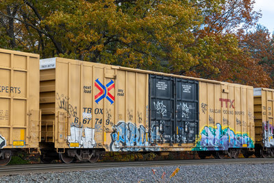 TBOX 667749
