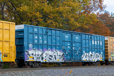 LRS 137322