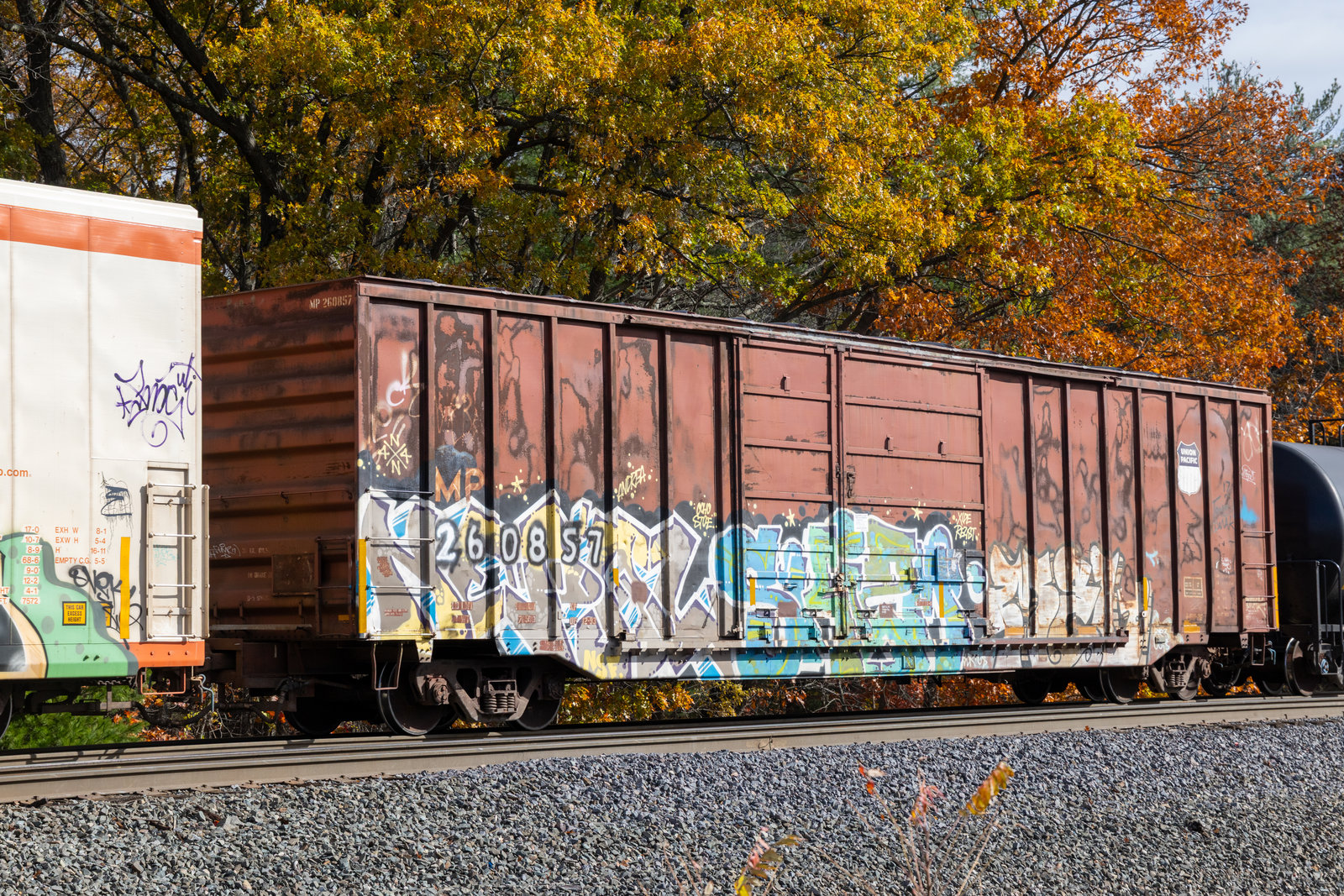 MP 260857