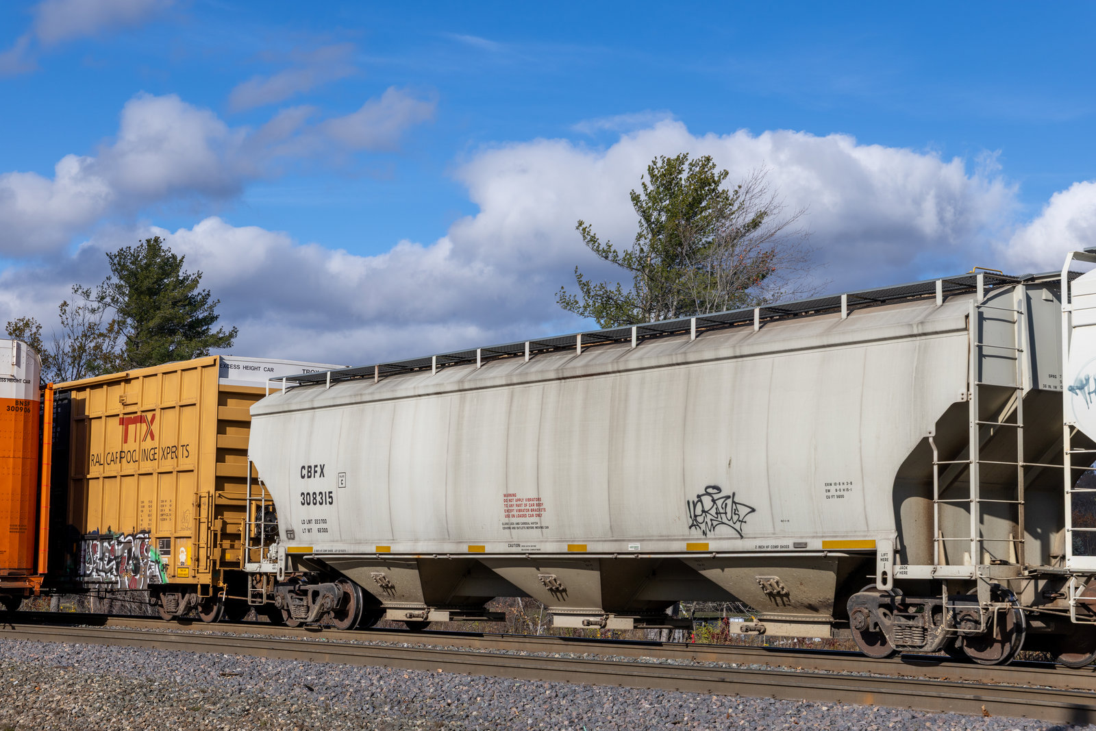 CBFX 308315