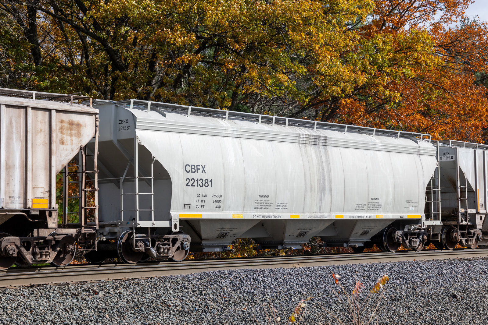 CBFX 221381