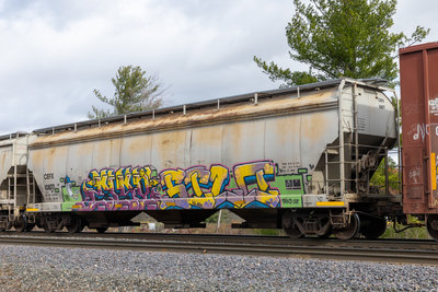 CEFX 10877
