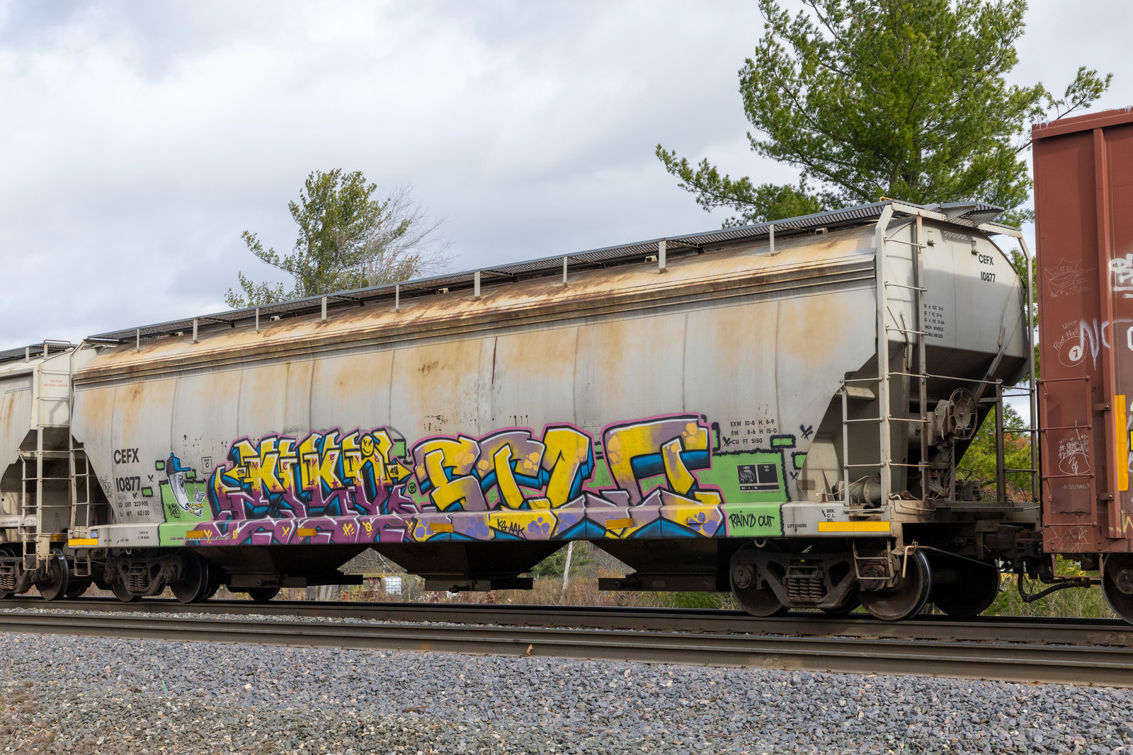 CEFX 10877