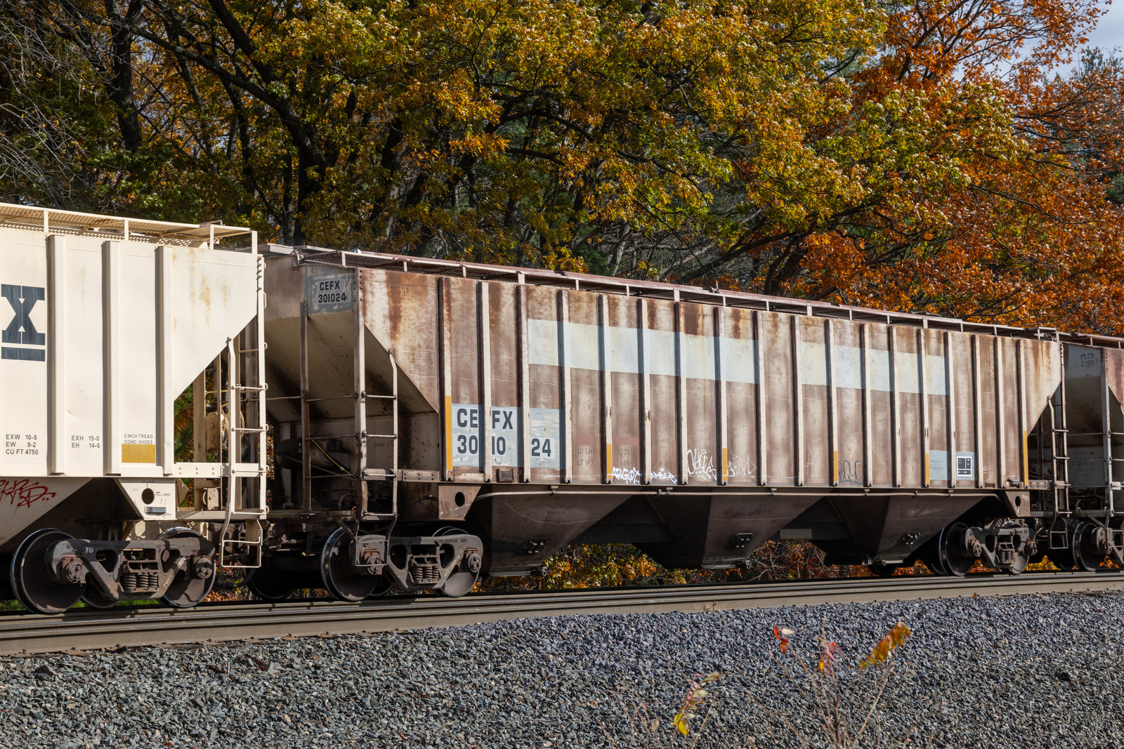 CEFX 301024