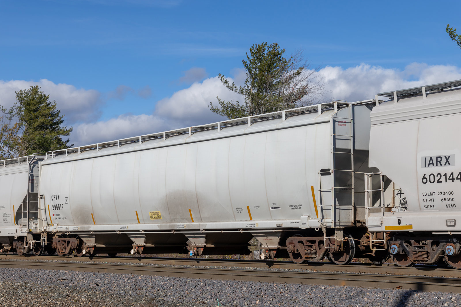 CHVX 890019