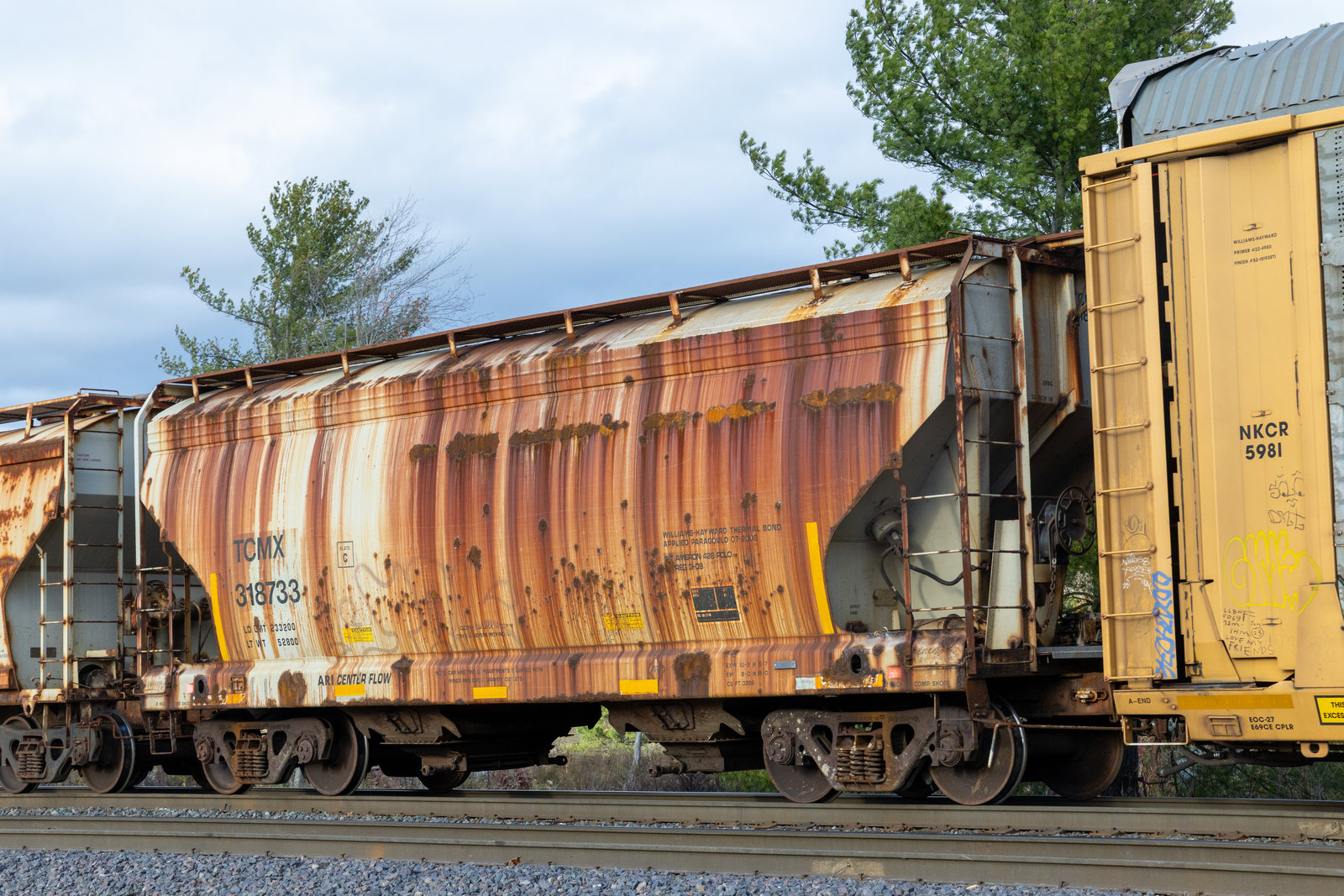 TCMX 318733