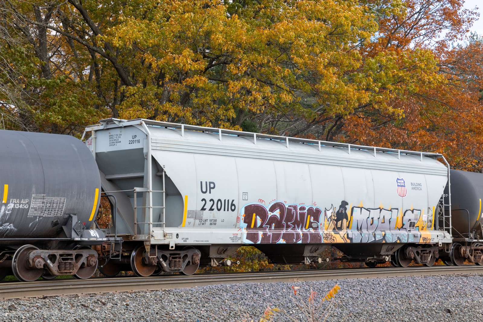 UP 220116