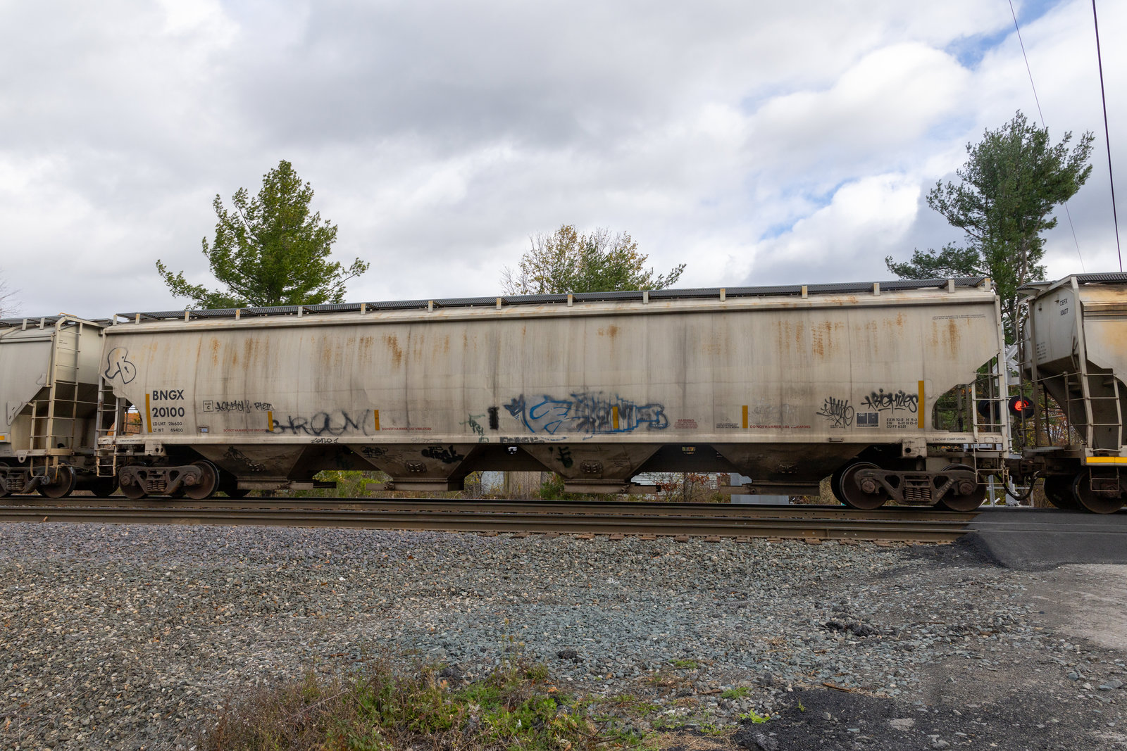 BNGX 20100