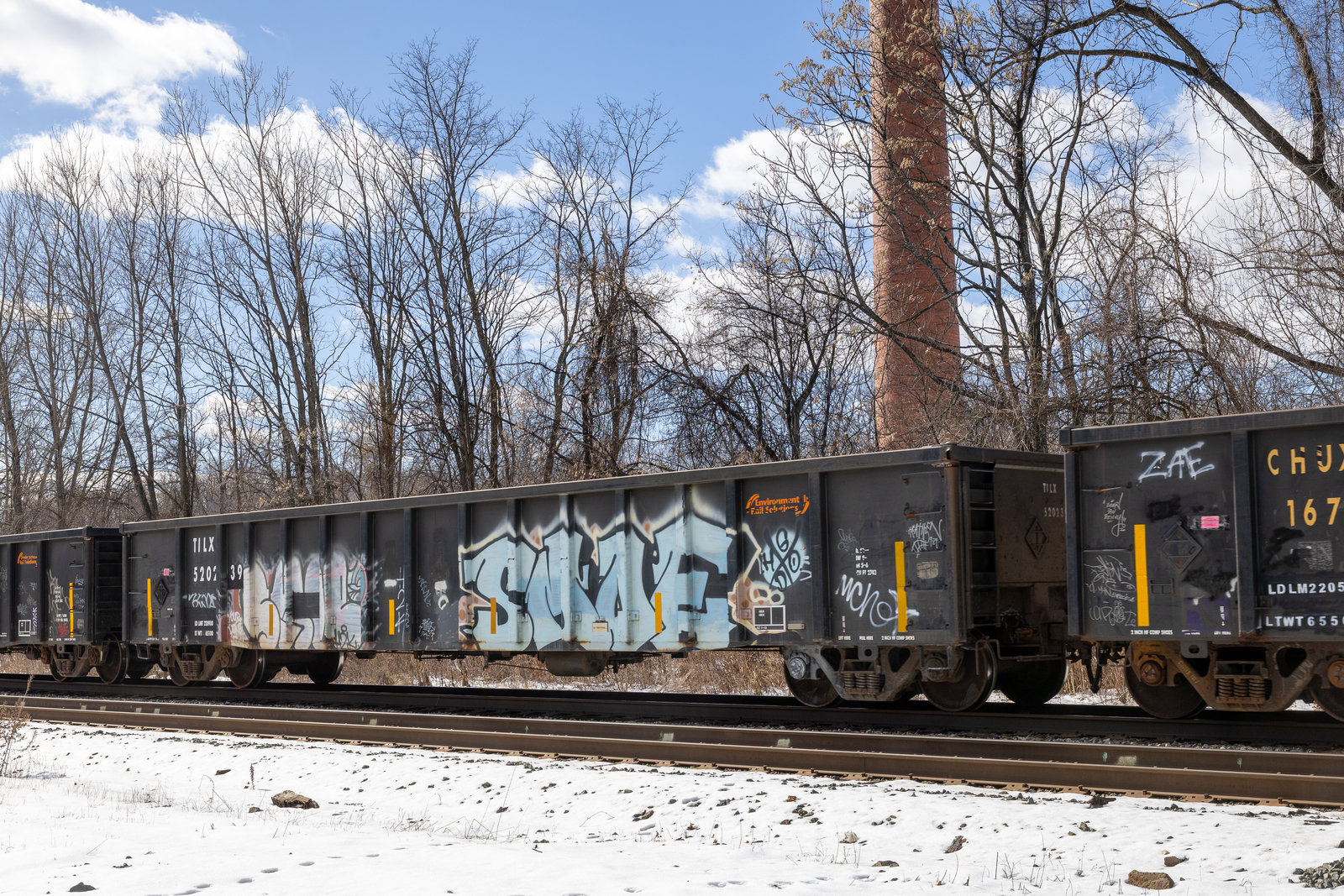 TILX 520239