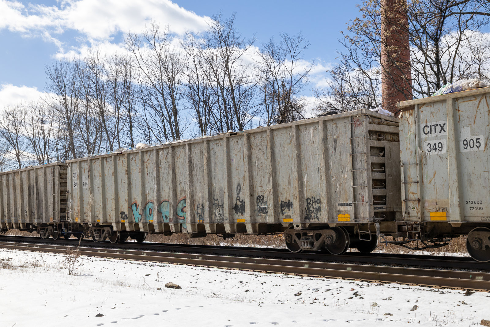CITX 349934