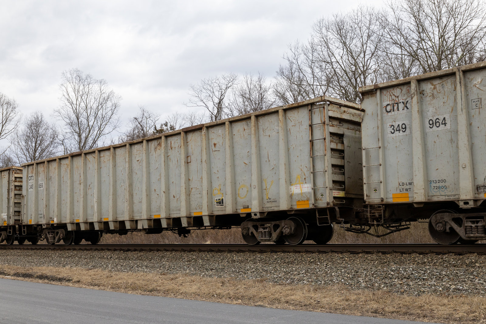 CITX 349859
