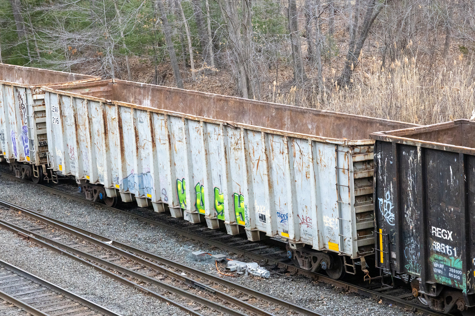 LEWX 2164