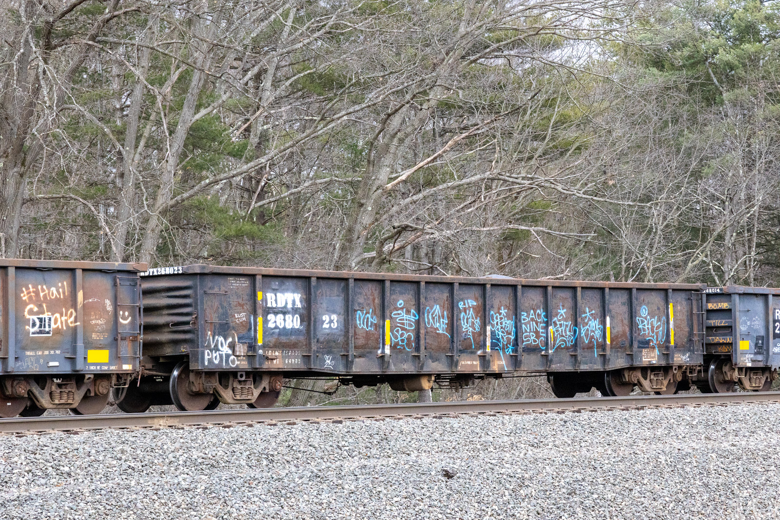 RDTX 268023