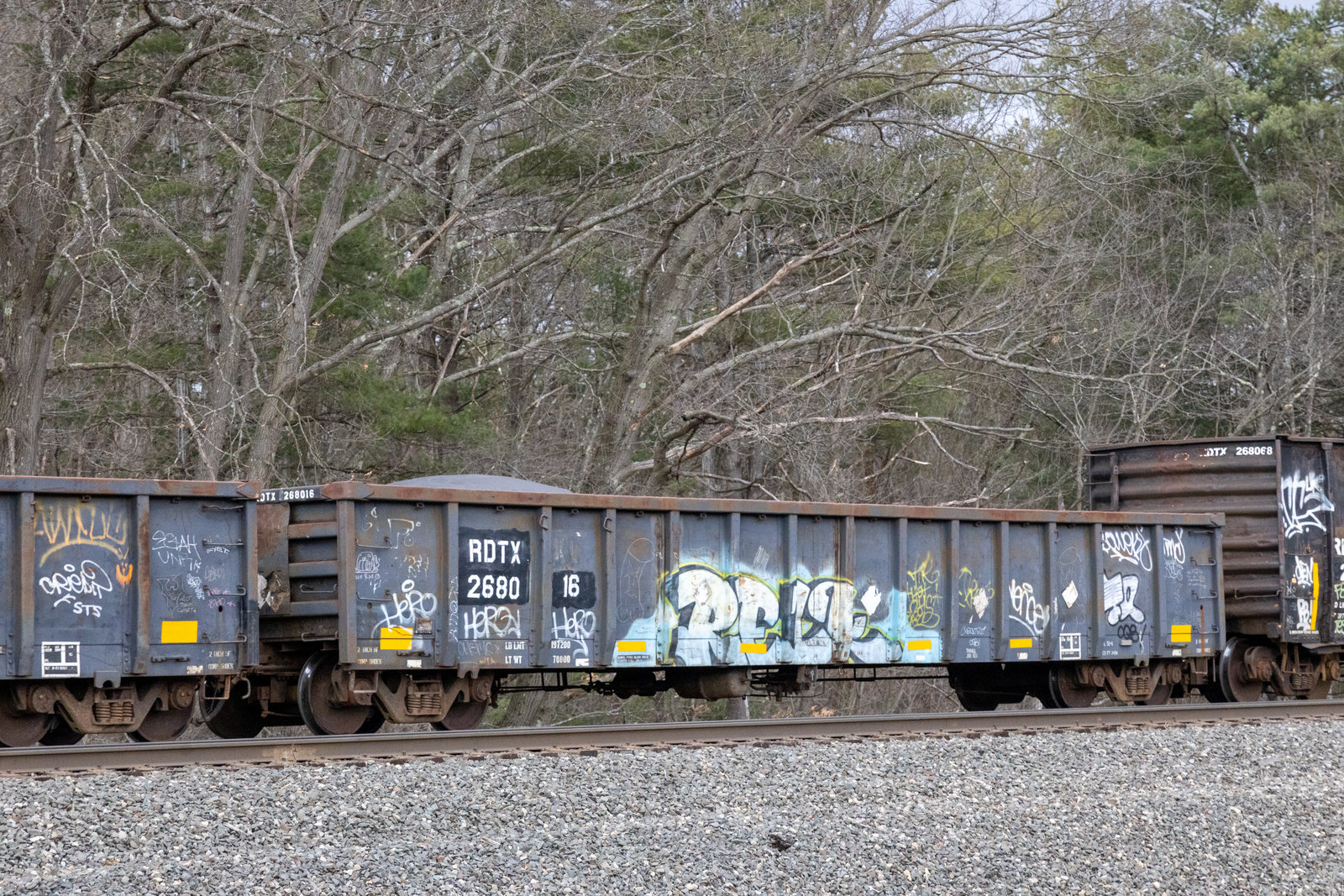 RDTX 268016