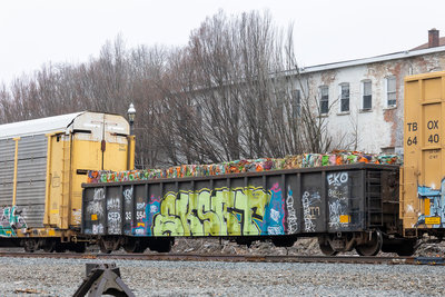 CEFX 33554