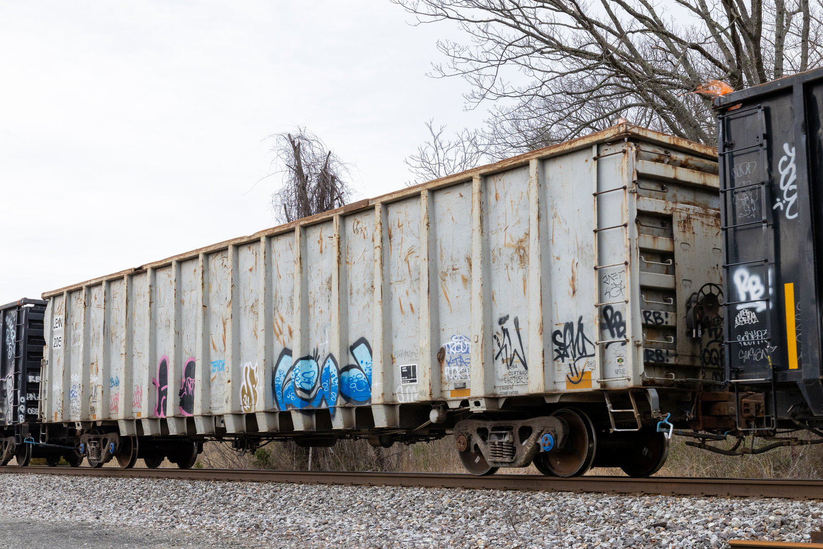 LEWX 205x