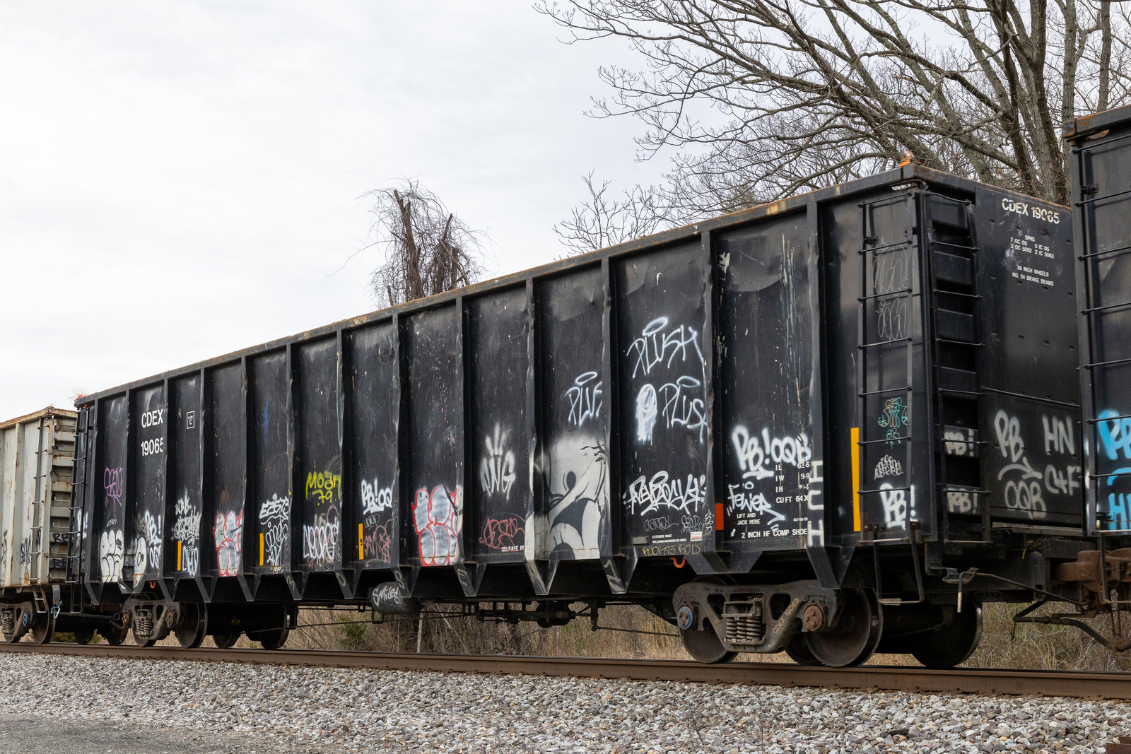 CDEX 19065