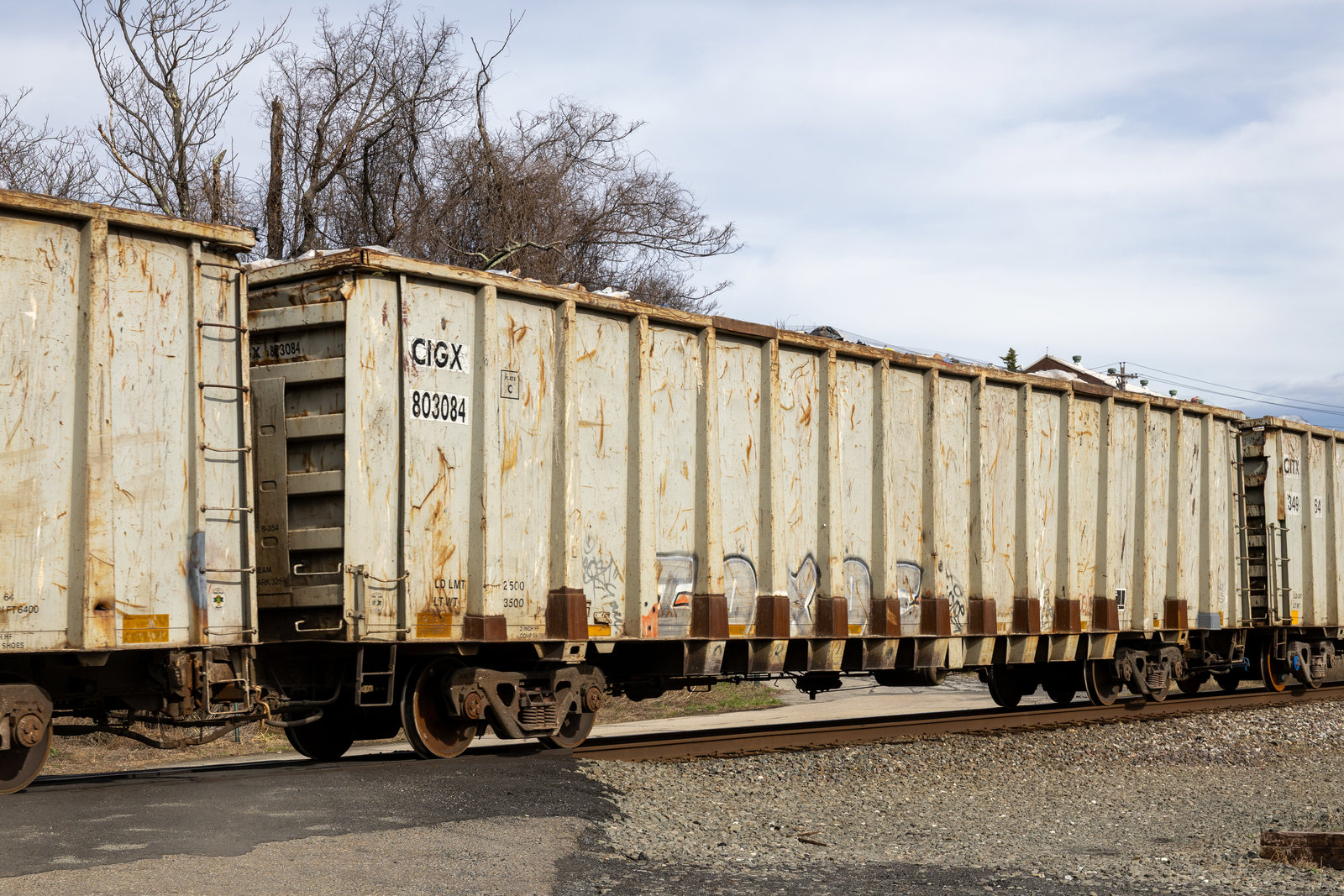 CIGX 803084