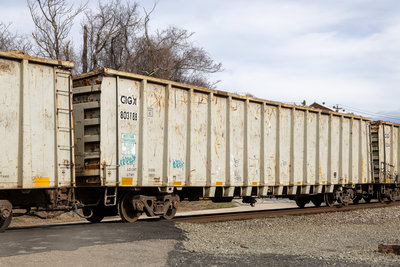 CIGX 803188