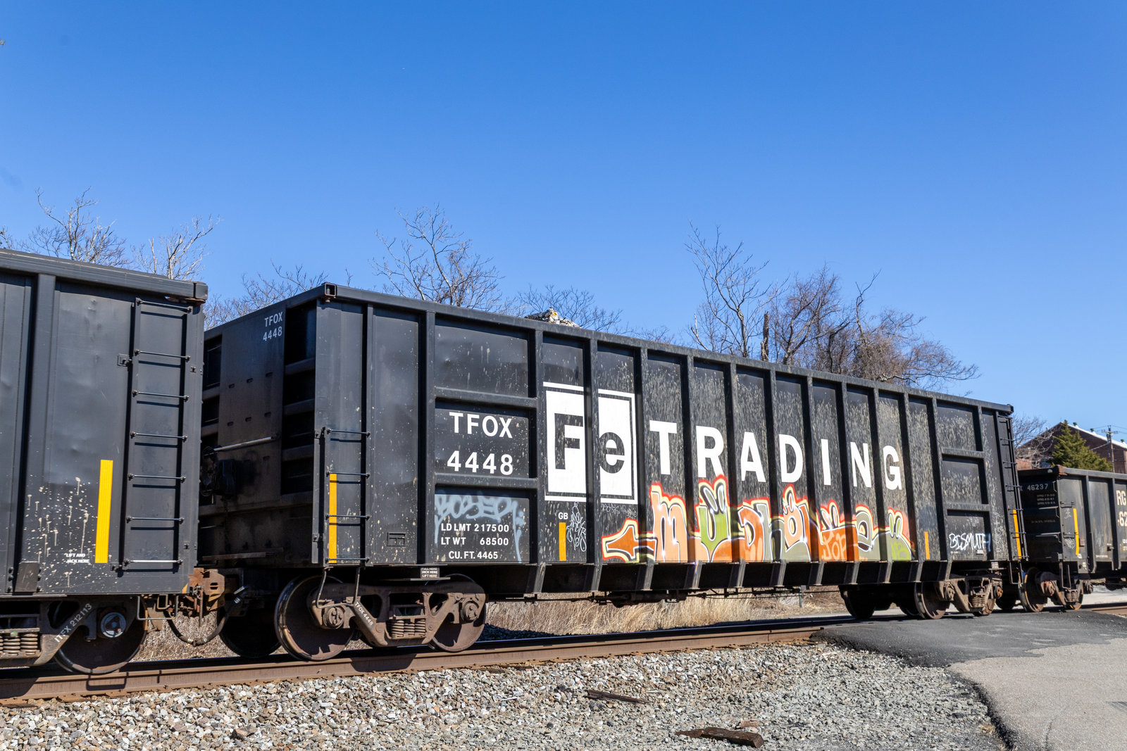 TFOX 4448
