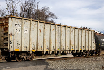CITX 349919