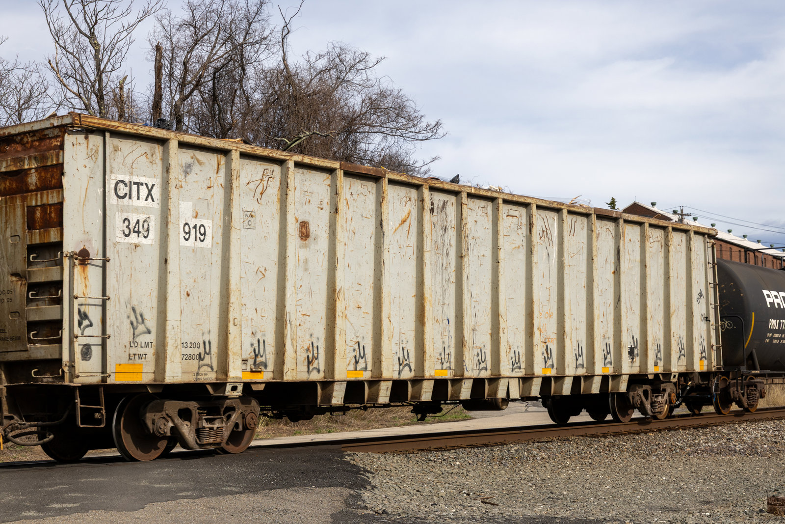 CITX 349919