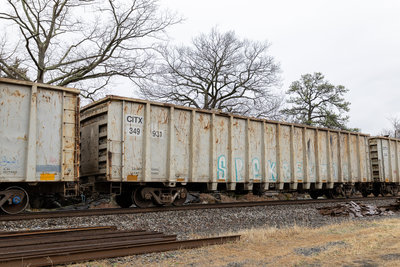 CITX 349931