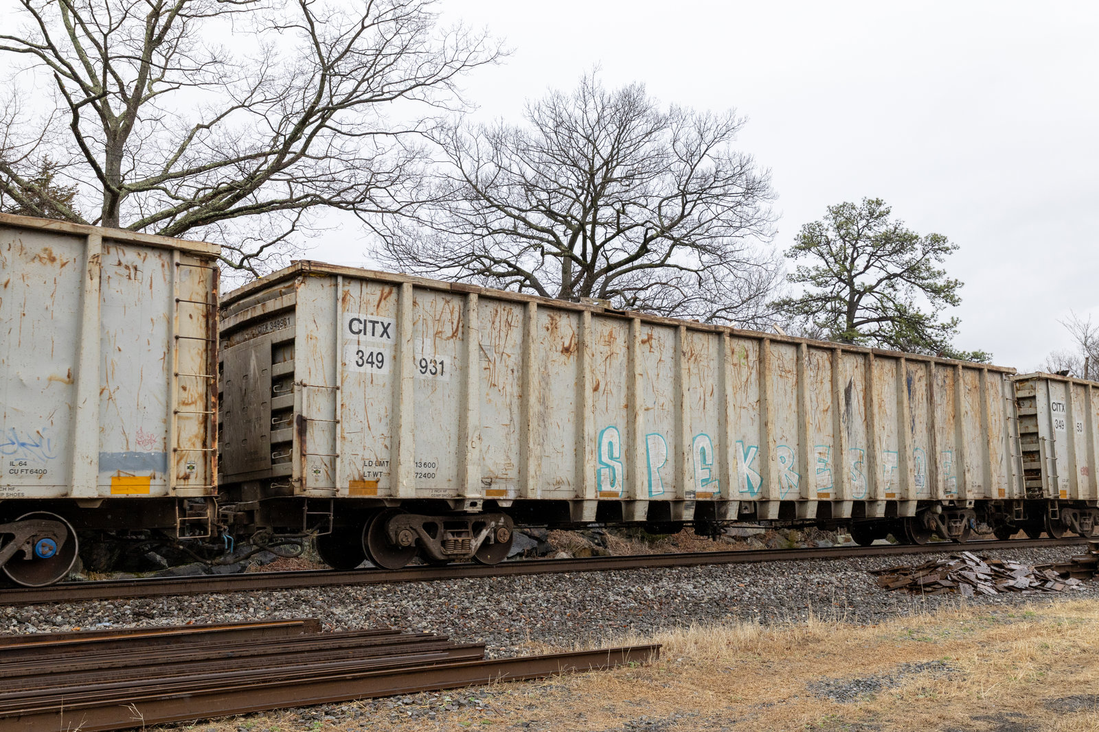 CITX 349931