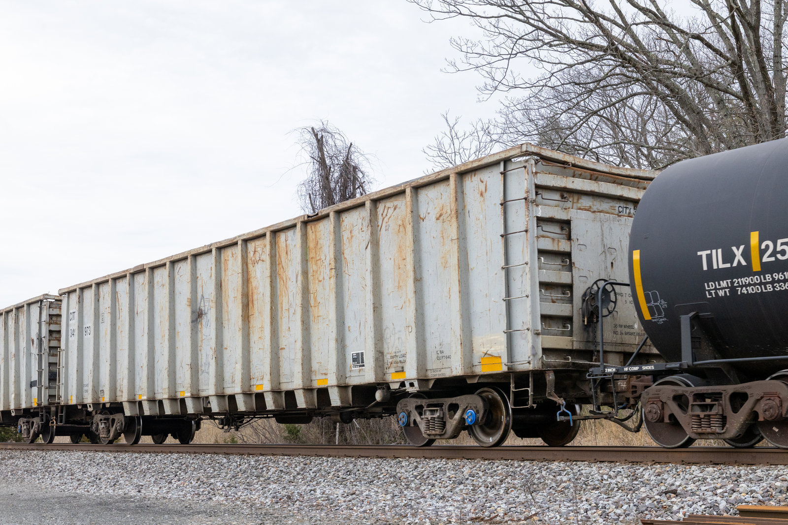 CITX 349973