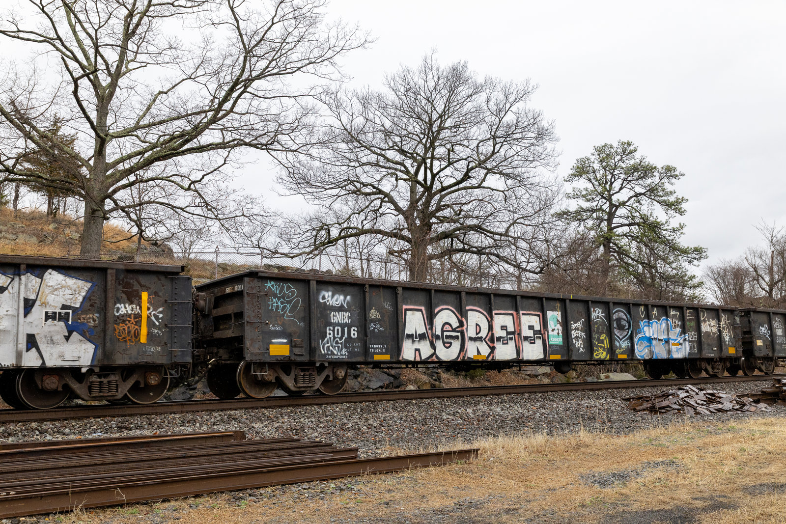 GNBC 6016