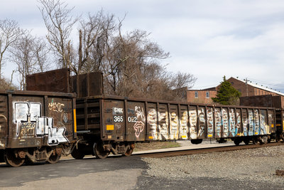GNBC 365022