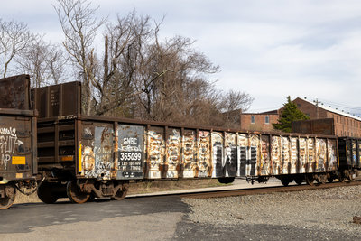 GNBC 365099