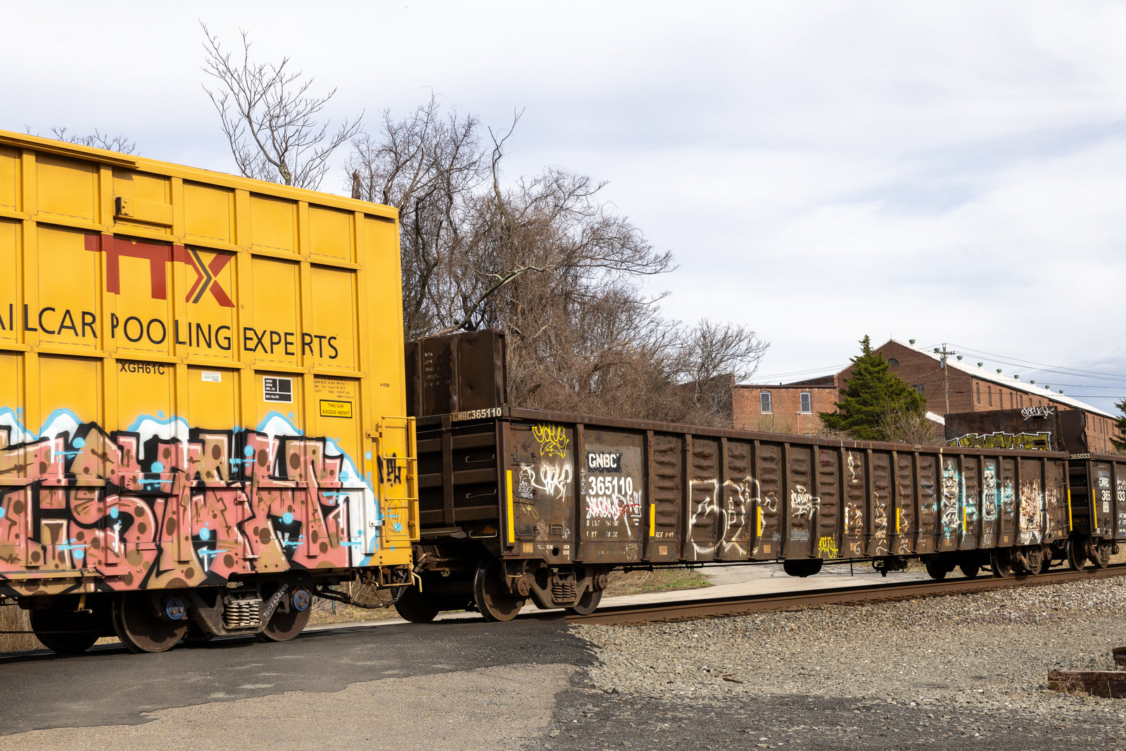 GNBC 365110