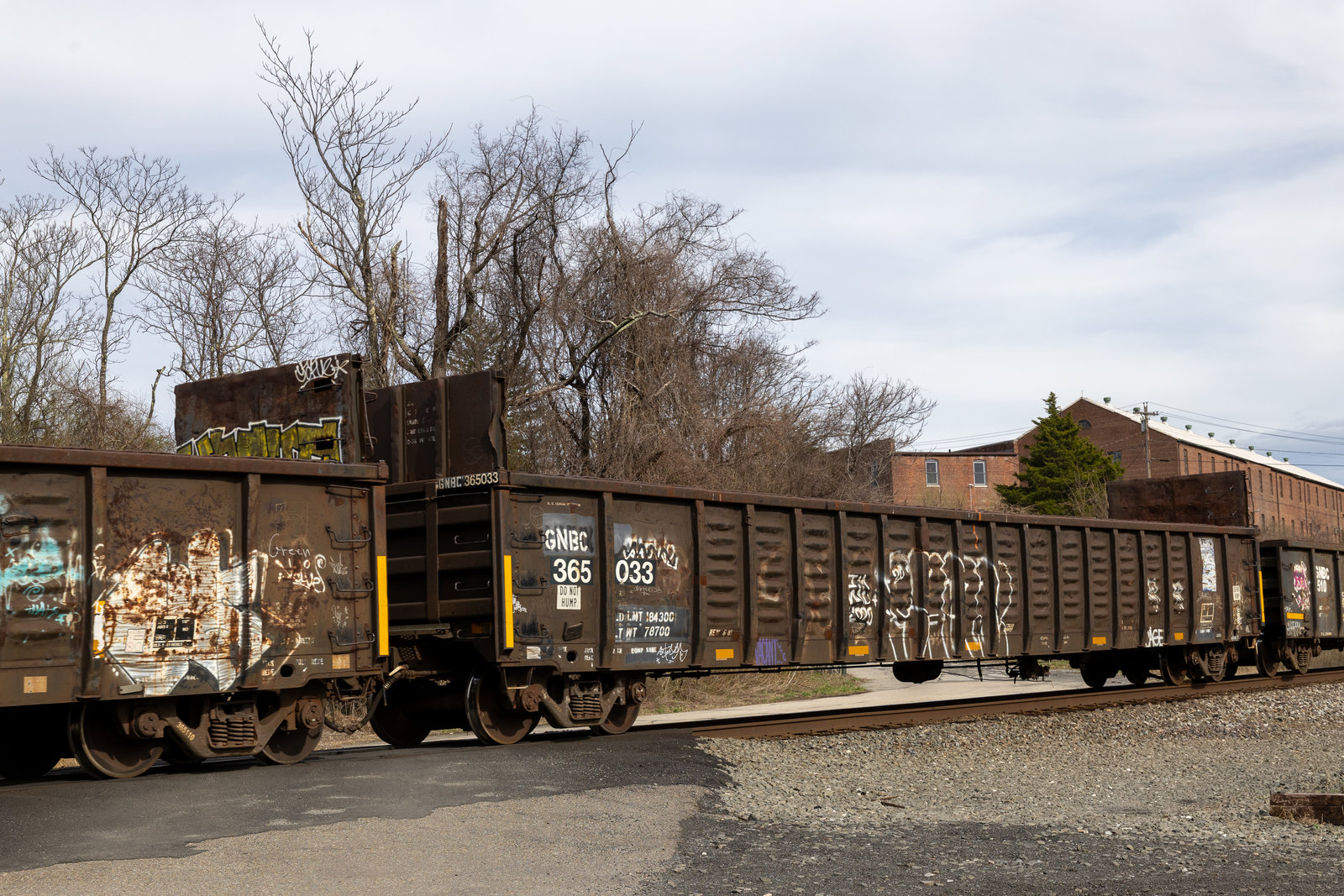 GNBC 365033