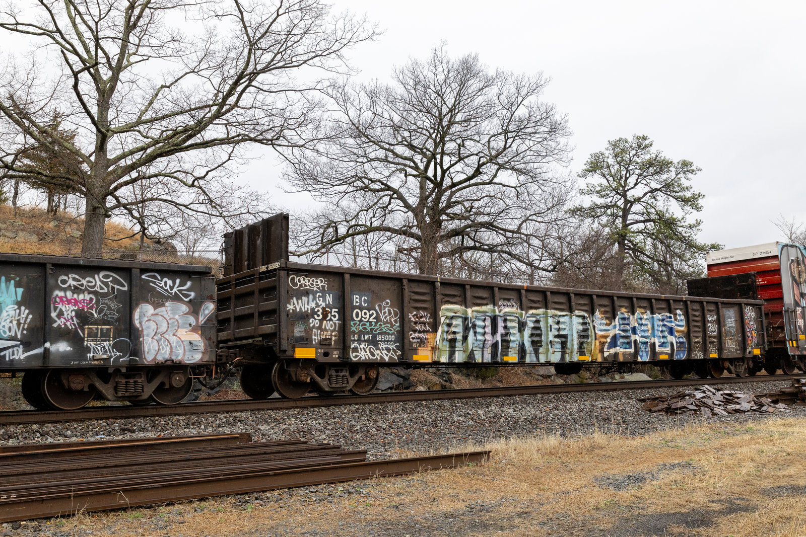 GNBC 365092