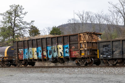 MORX 114