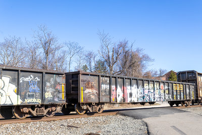 GNTX 297277