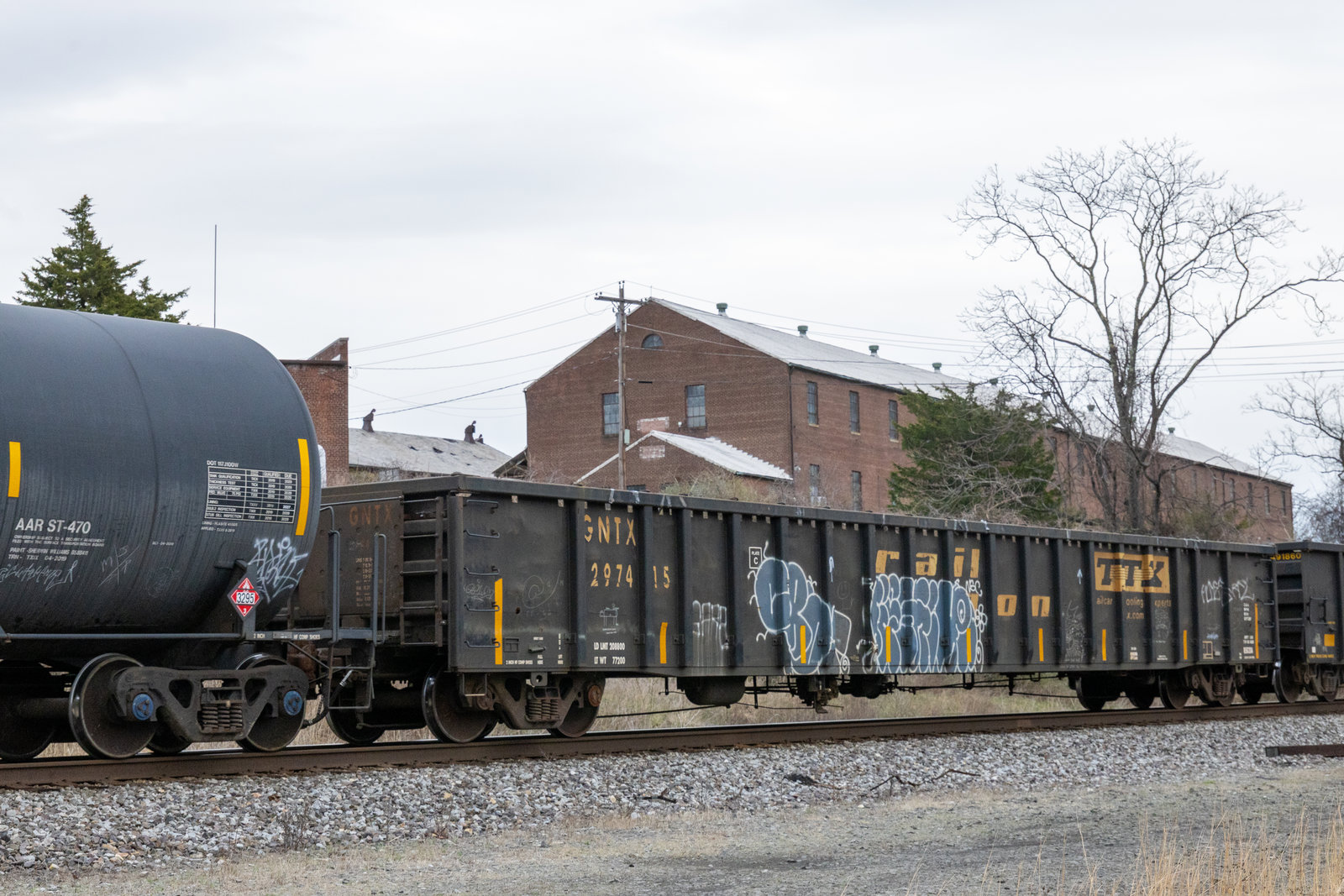 GNTX 297415