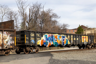 GNTX 295391