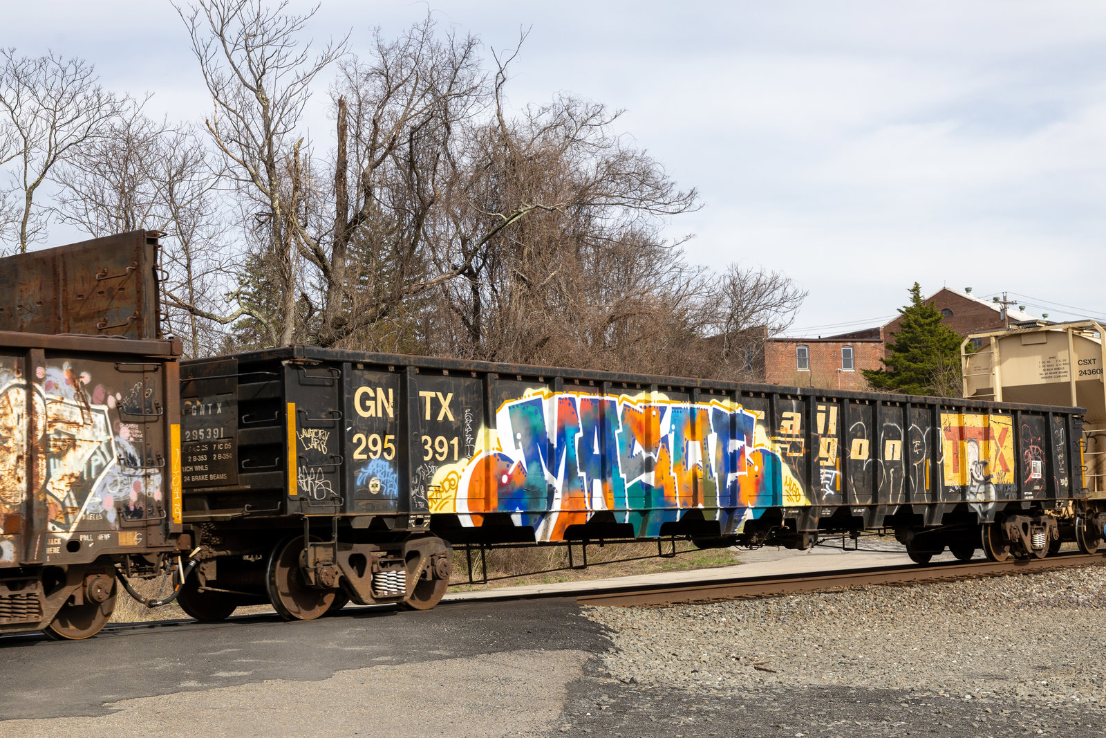 GNTX 295391