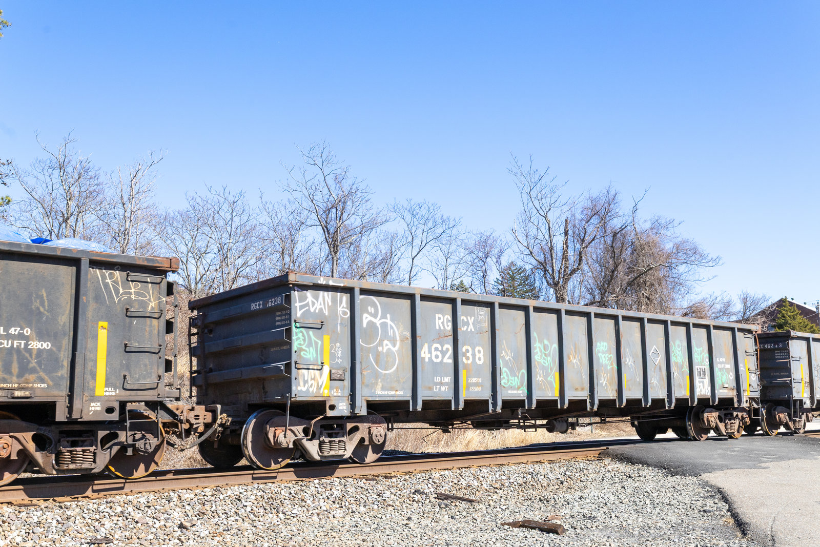 RGCX 46238