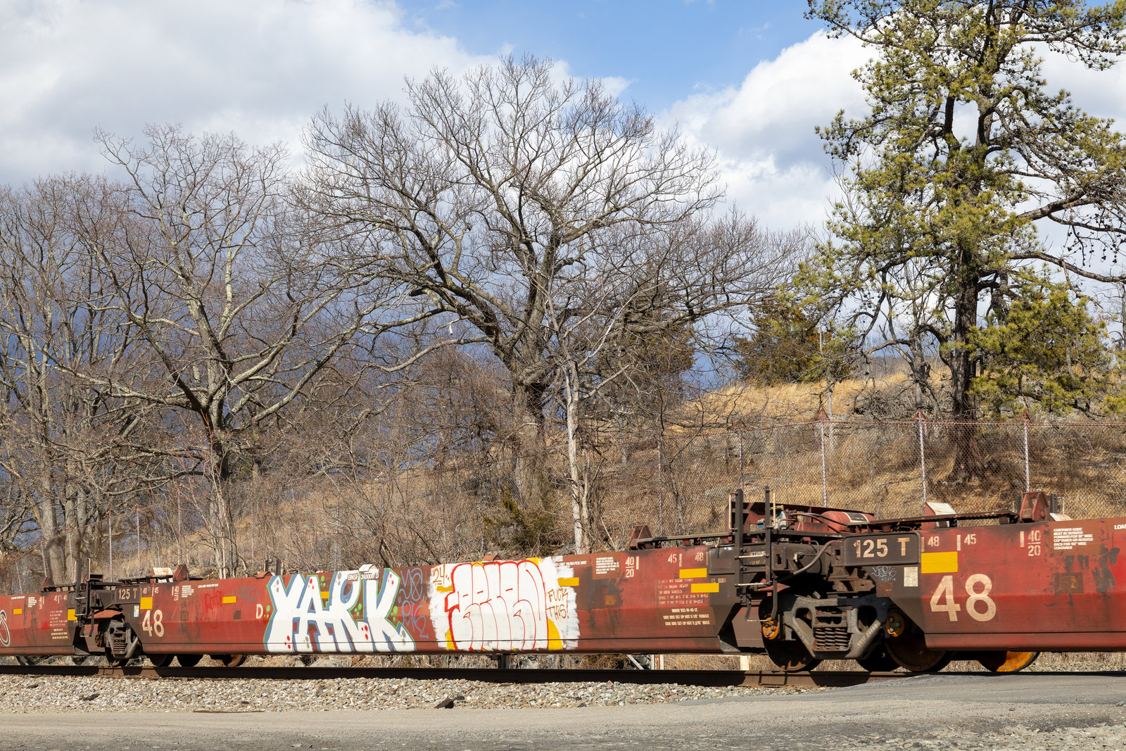 BNSF 240006D