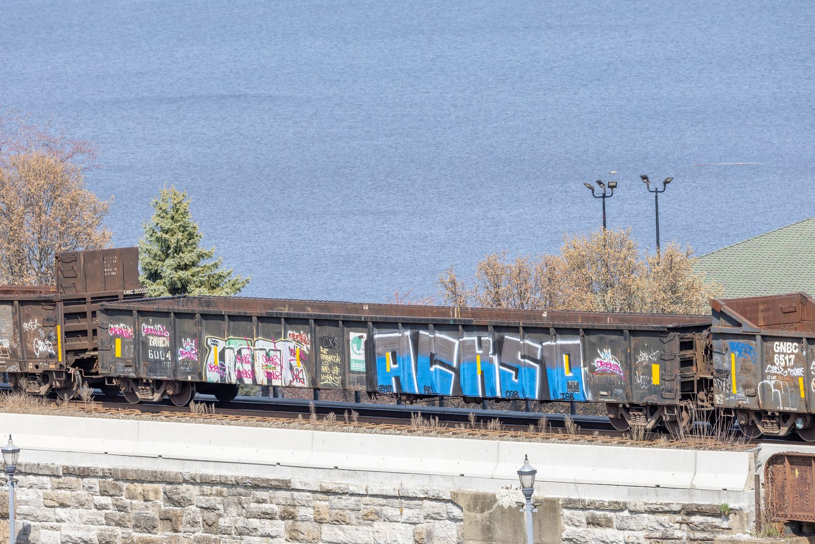 GNBC 6004