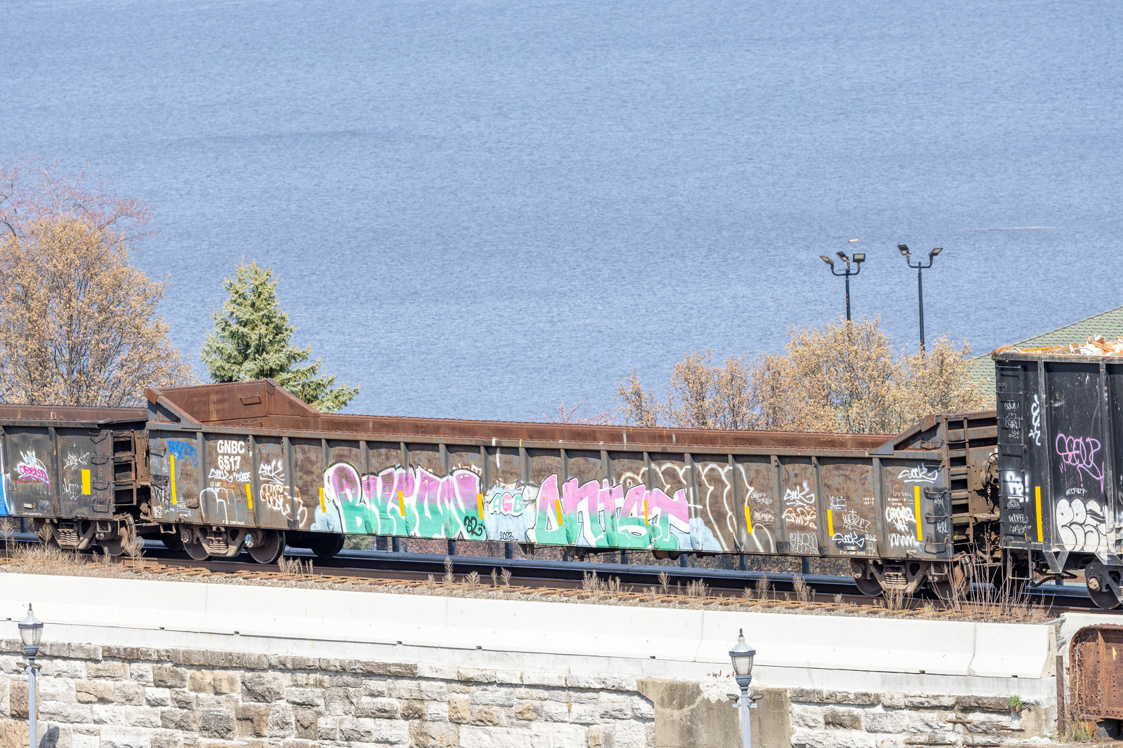 GNBC 6517