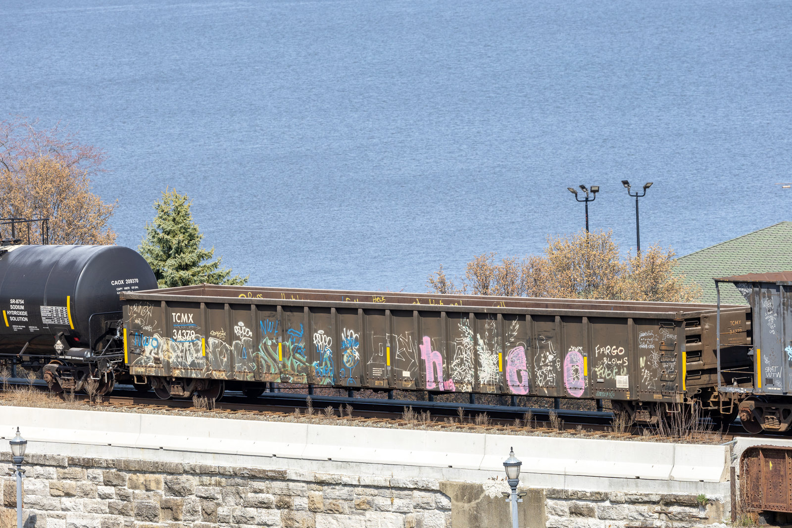 TCMX 34379