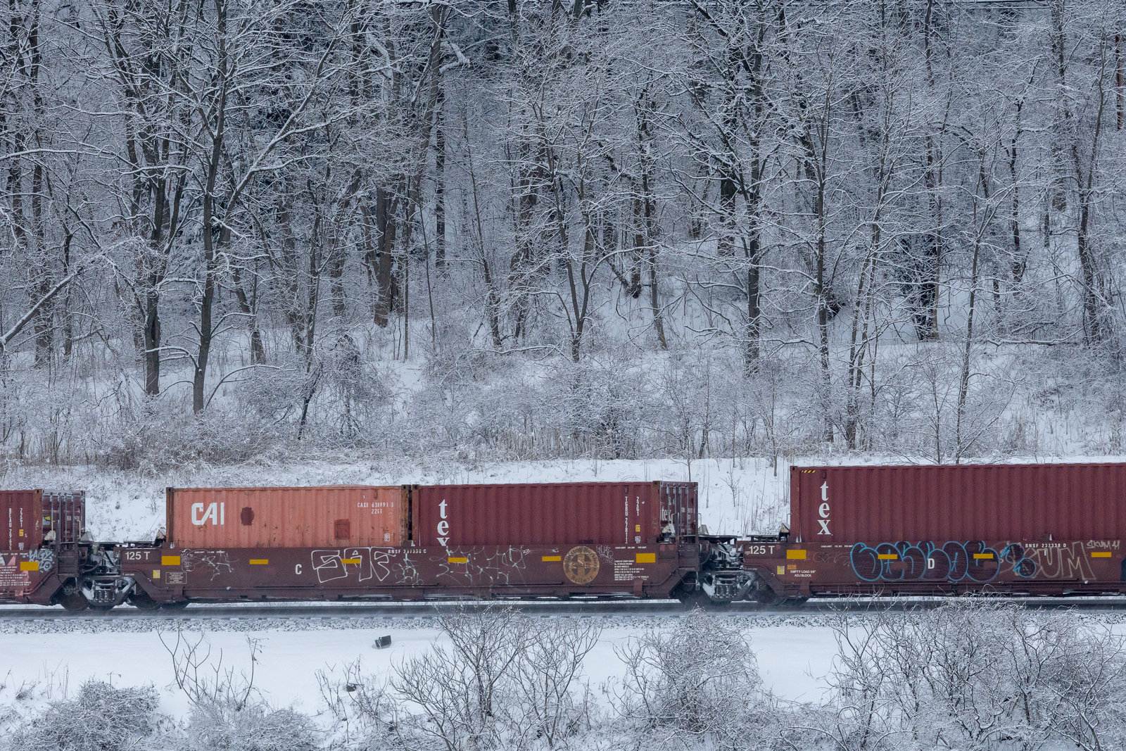 BNSF 237338C