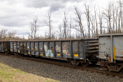 RDTX 268022